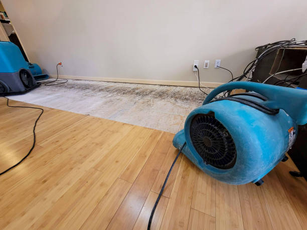 Professional Basement Flood Cleanup technician working in Rock Hill, MO